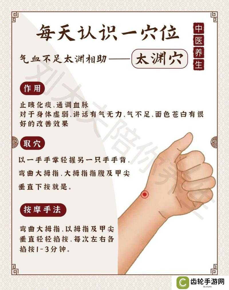 天地劫幽城再临太渊隐逸如何培养？属性定位全解析
