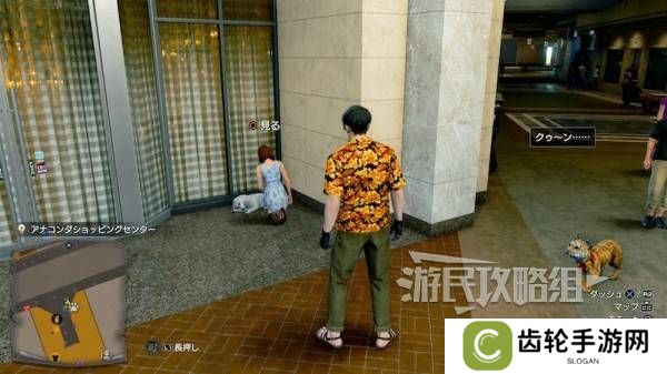 如龙8外传救护动物位置总汇   救护动物食材盘点图片19