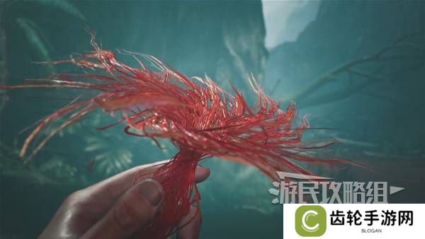 怪物猎人荒野攻略总汇   全章节任务流程攻略图片36