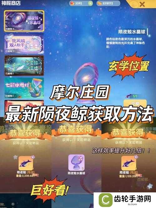 摩尔庄园手游雨点球位置全解析