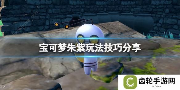 宝可梦朱紫攻略大全 新手必备技巧总汇