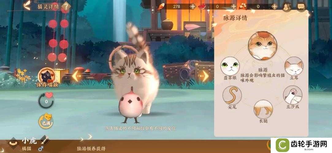忘川风华录猫灵领养攻略 最强猫灵领取技巧分享——演变史专题