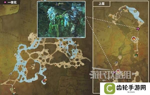 怪物猎人荒野一夜花的月华粉位置及获取途径一览图片4