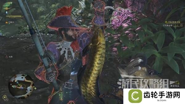 怪物猎人荒野黄金鱼怎么钓    钓黄金鱼位置一览图片6