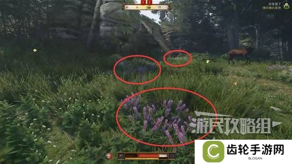 天国拯救2图文攻略大全   所有任务全流程攻略总汇图片29