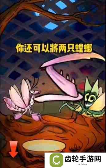 螂的诱惑白龙螳怎么获得 白龙螳获得方法