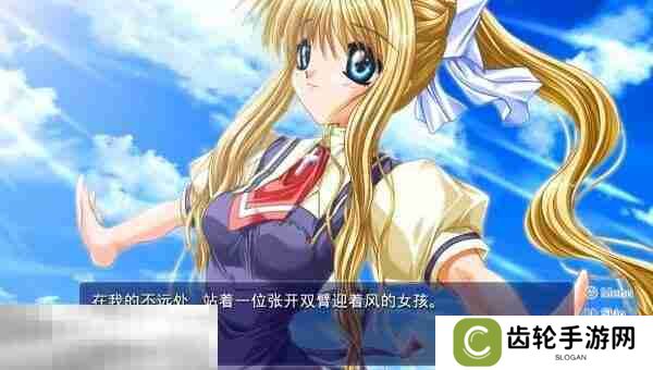 AIR在哪里买 游戏登陆平台介绍