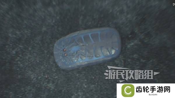 怪物猎人荒野大虚无动在哪捕获    大虚无动捕获攻略图片8