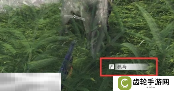 燕云十六声马怎么抓 抓马技巧及方法全攻略