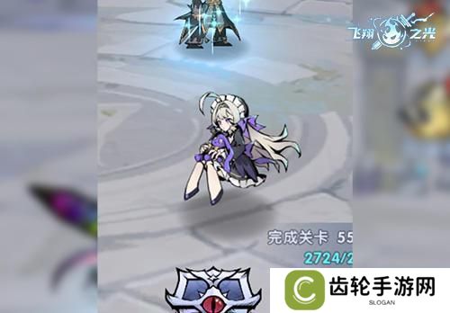 飞翔之光
