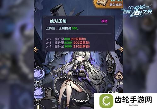 飞翔之光