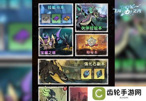 飞翔之光