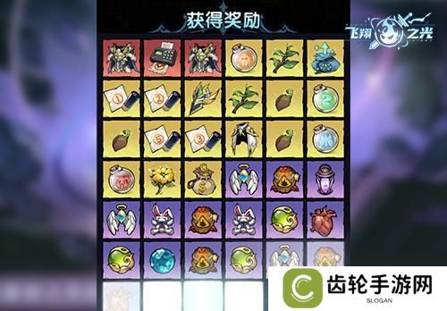 飞翔之光