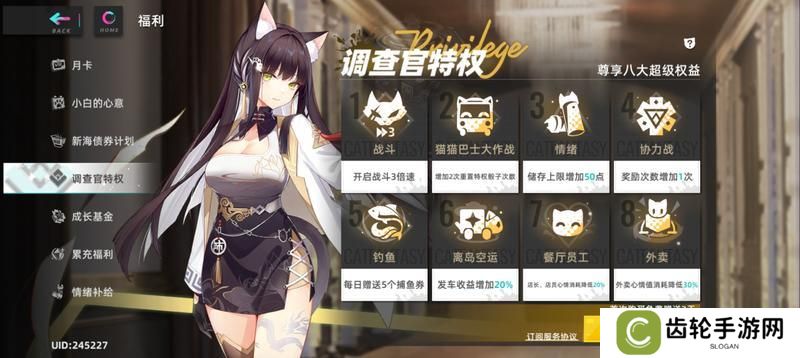 猫之城