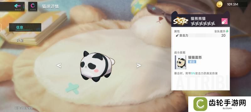 猫之城