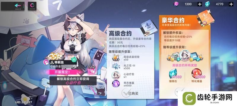 猫之城
