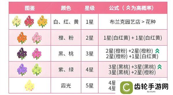 心动小镇春野令霞光迎春花怎么种植 春野令霞光迎春花种植方法