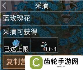 《明日之后》异色玫瑰保姆级攻略手把手教学兑换