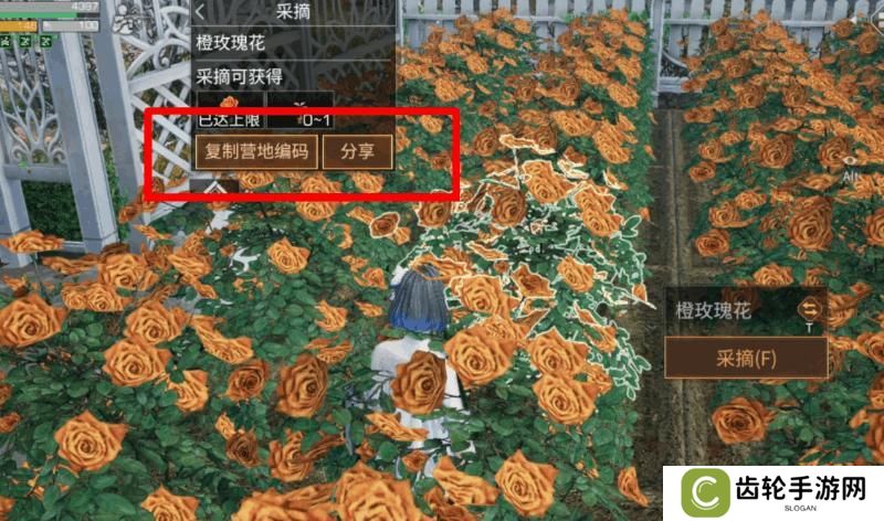 《明日之后》异色玫瑰保姆级攻略手把手教学兑换